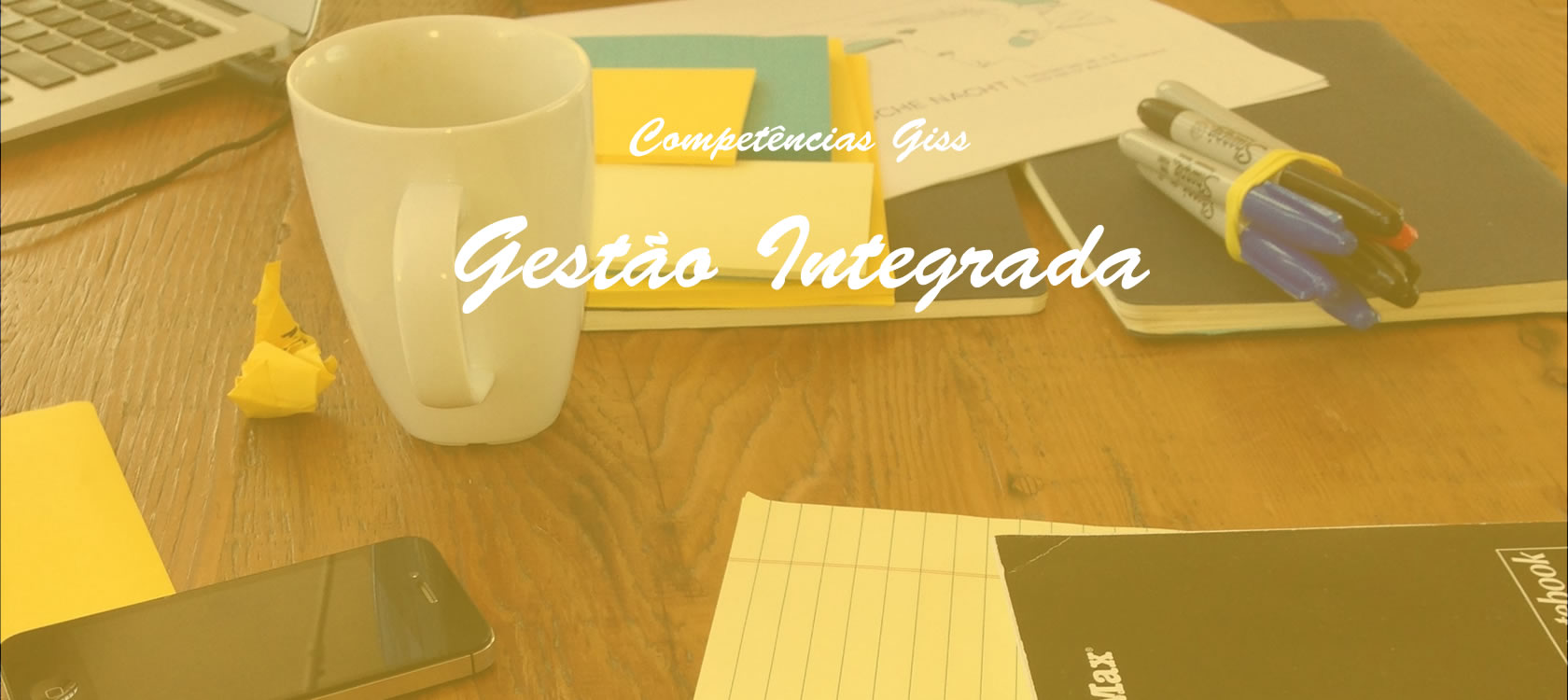 GISS-gestão integrada